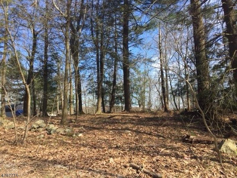 0 Carmel Rd - Photo 1