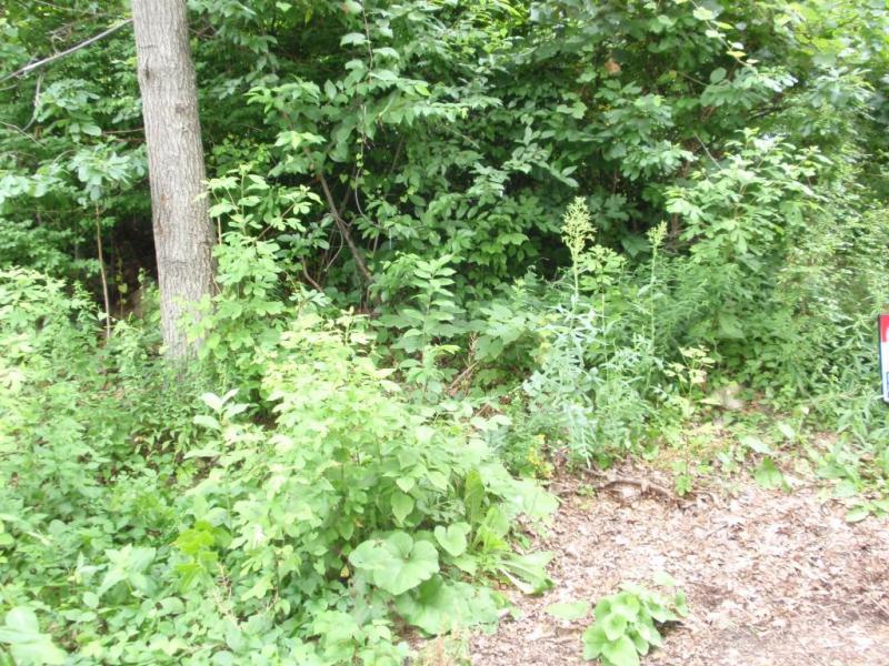 15 Florence St - Photo 1