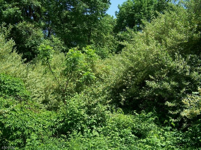 316 Wagon Wheel Rd - Photo 1