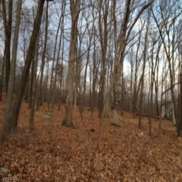 397 Green Rd - Photo 1