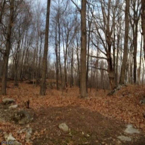 385 Green Rd - Photo 1