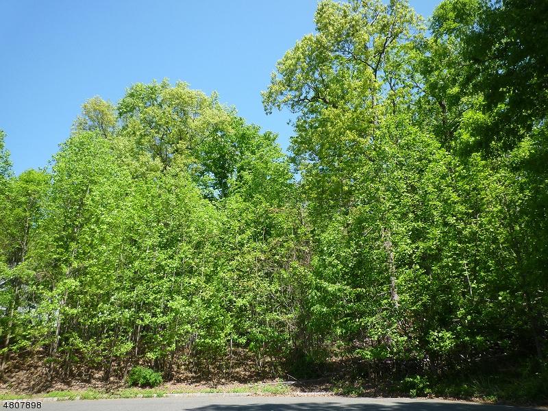 17 Old Church Rd - Photo 1