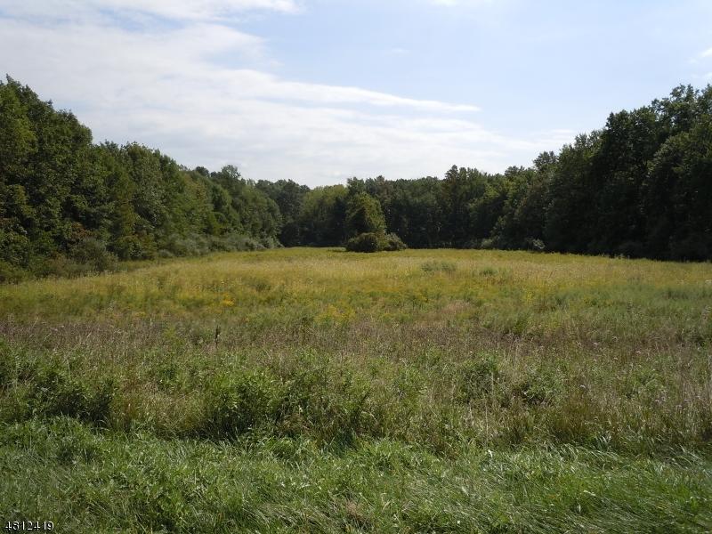 0 Strotz Rd - Photo 1
