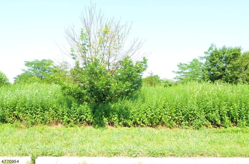 7 Royal Road - Photo 1