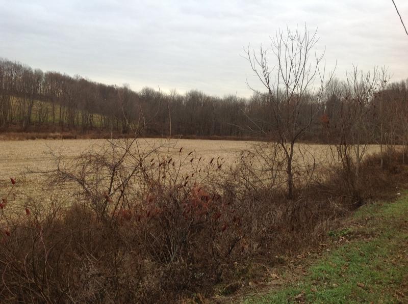 0 Brown Rd - Photo 1