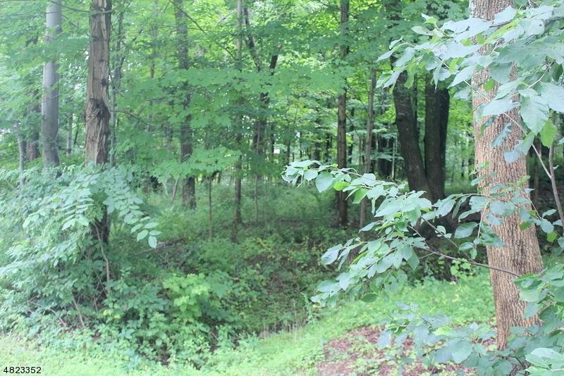 27 Walnut Valley Rd - Photo 1