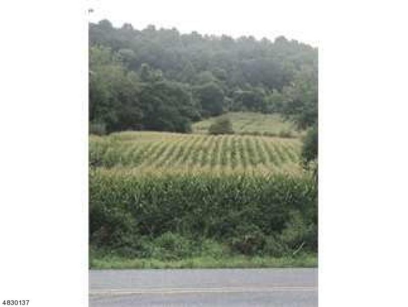 0 Good Springs Rd - Photo 1