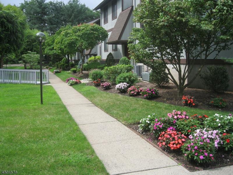 50 Rock Rd - Photo 1