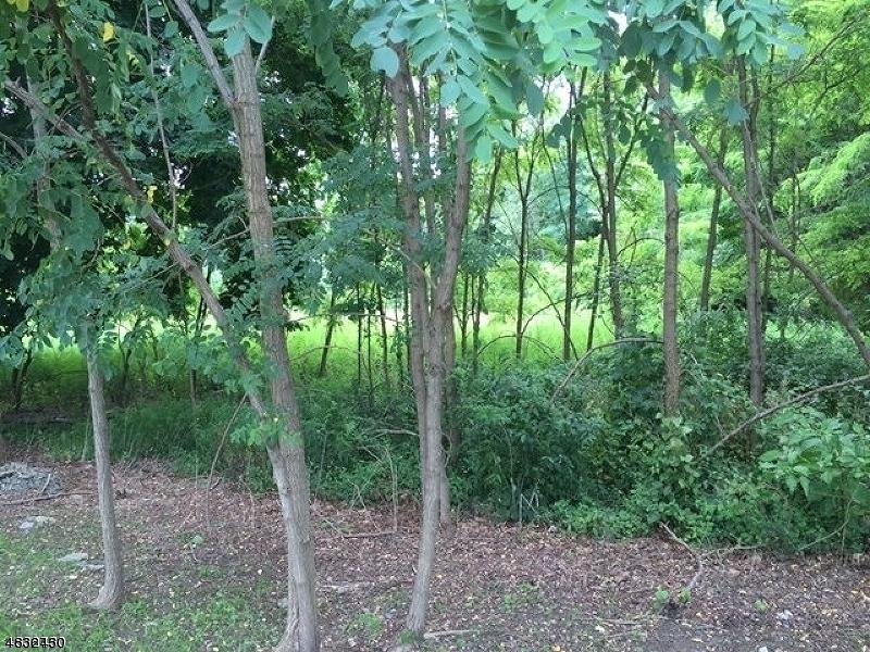 0 W Oakland Ave - Photo 1