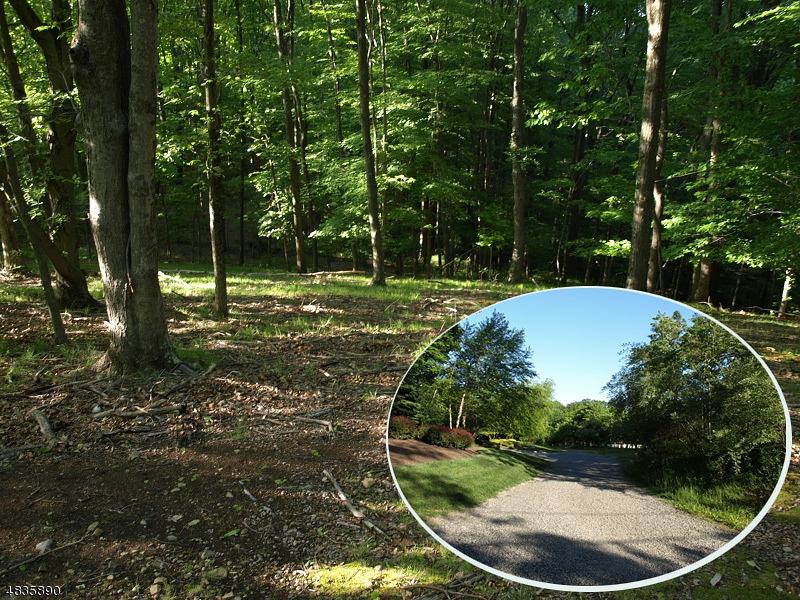 126 Mosle Rd - Photo 1