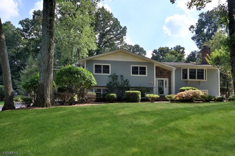 303 Meadowbrook Rd - Photo 1