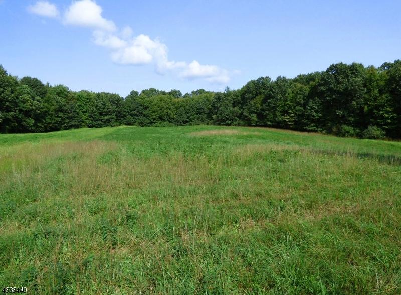 291 Kerrs Corner Rd - Photo 1