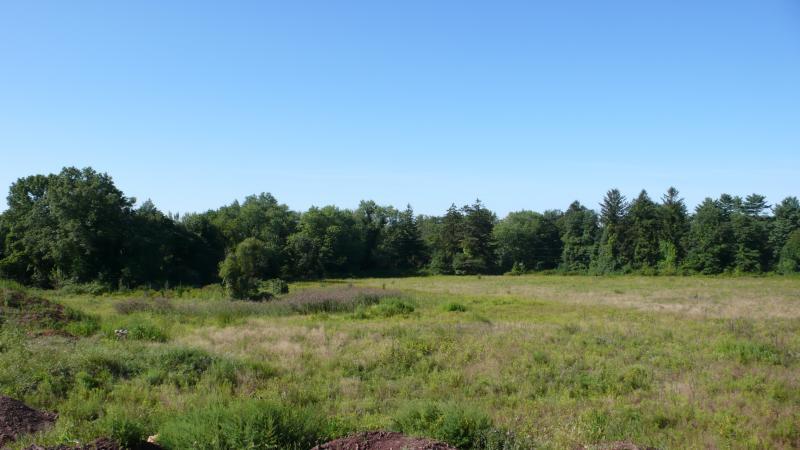 4 Castle Ct - Photo 1