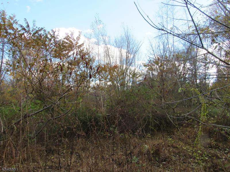 0 Harmony Station Rd - Photo 1