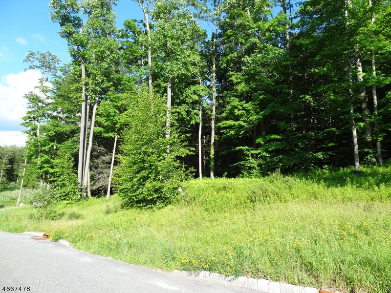 35 Roaring Brook Way - Photo 1