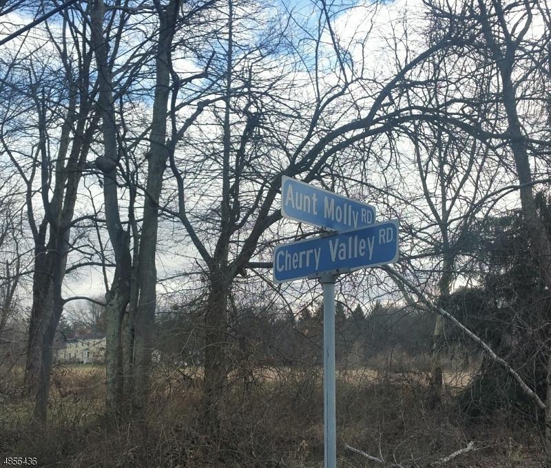 15 Aunt Molly Rd - Photo 1