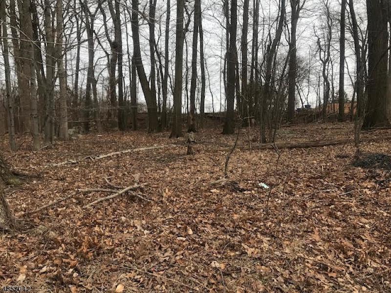 0 Espanong Rd - Photo 1