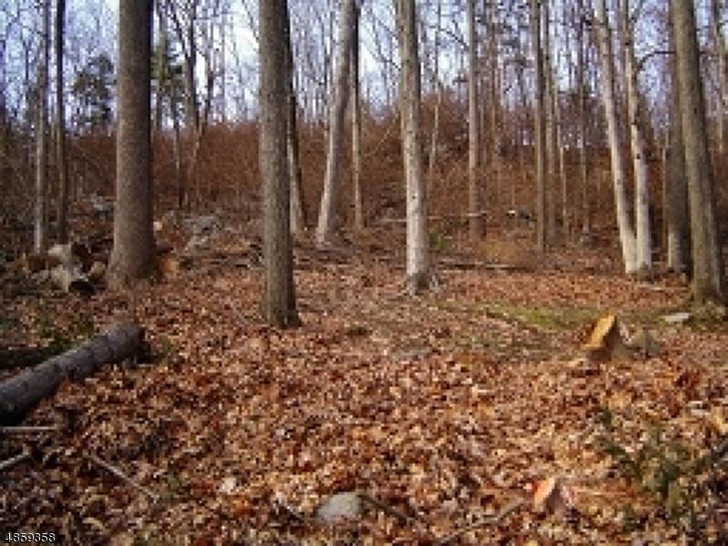 43 Hemlock Ave - Photo 1