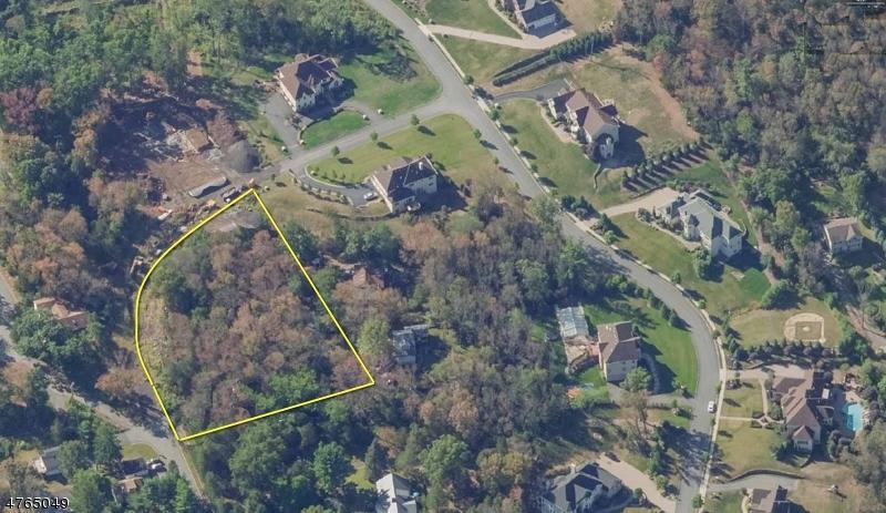 39 Alpine Rd-Land Only - Photo 1