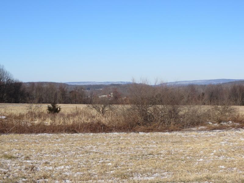 39 Old Beaver Run Rd - Photo 1