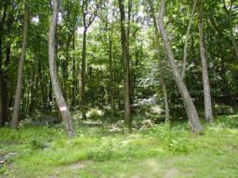 8 Pine Ridge Rd - Photo 1