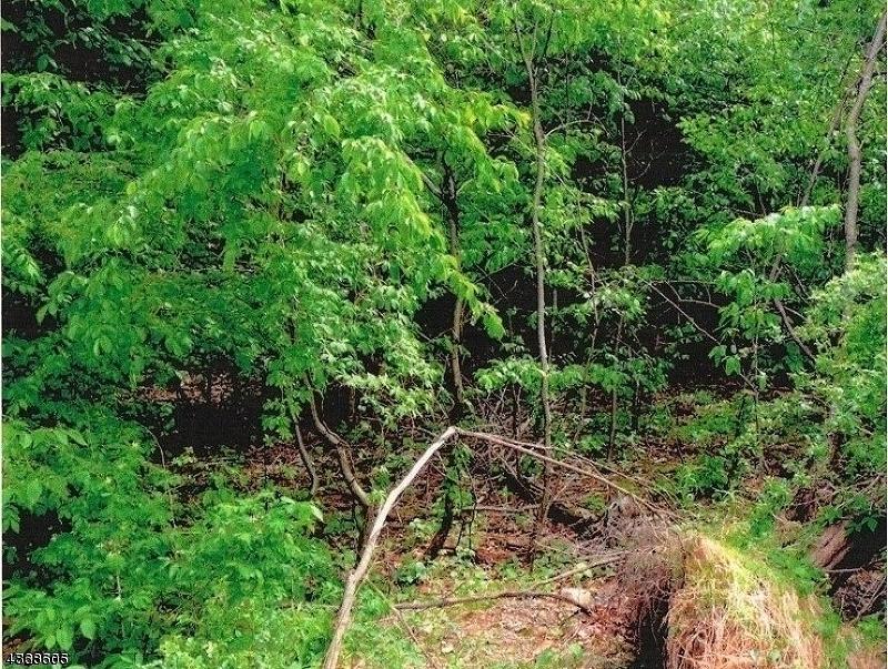 19 Forest Pl - Photo 1