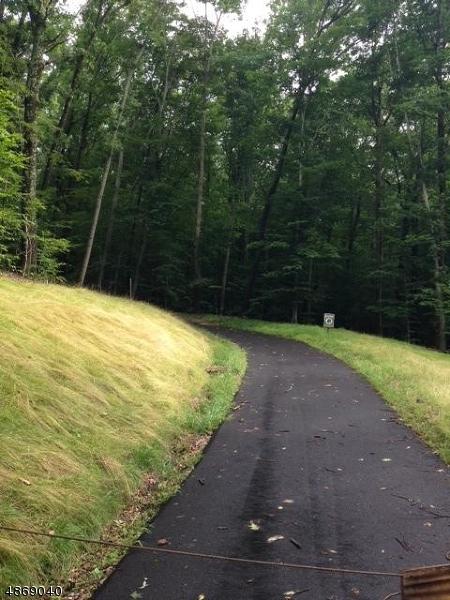 0 Creek Rd - Photo 1