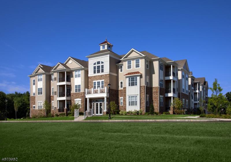 3205 Jockey Hollow Trl - Photo 1