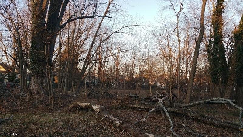 1030 Sherman Ave - Photo 1