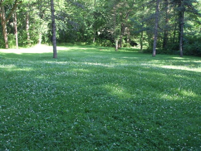 68 Creek Rd - Photo 1