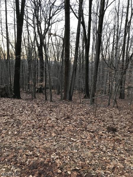 11 Artist View Ln - Photo 1