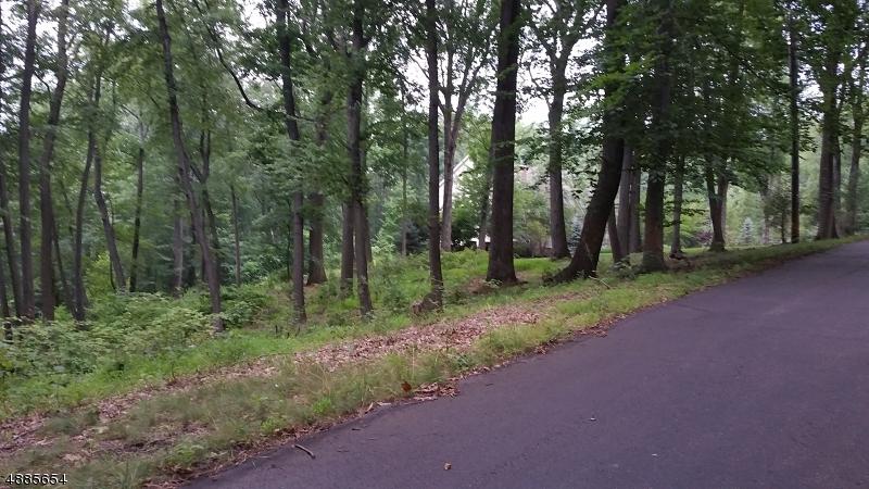 3 Beaver Brook Rd - Photo 1