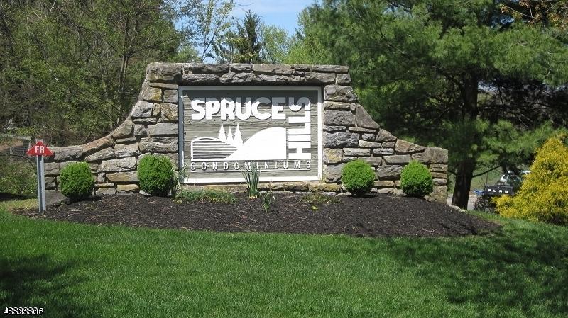1113 Spruce Hills Dr - Photo 1