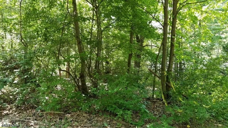 79 Oak Vlg - Photo 1