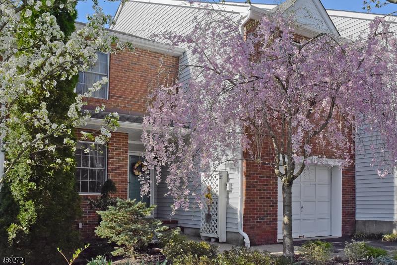 25 Bradford Ter - Photo 1