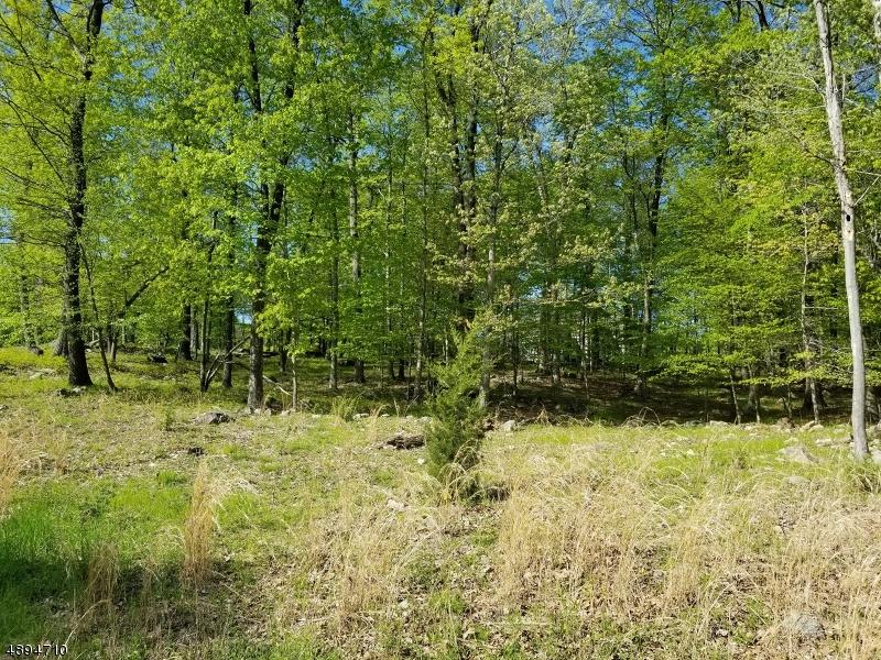 8 Eileens Way - Photo 1