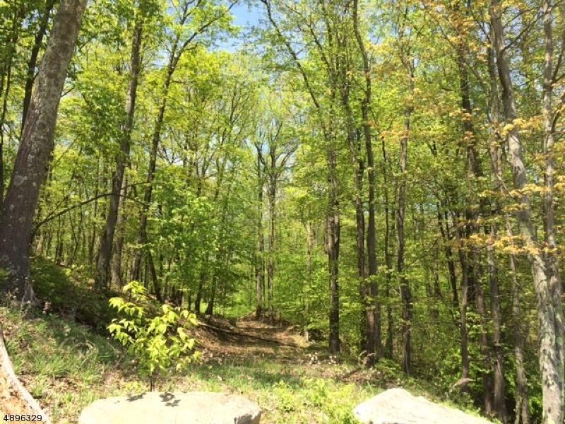 16 Crownview Ct - Photo 1