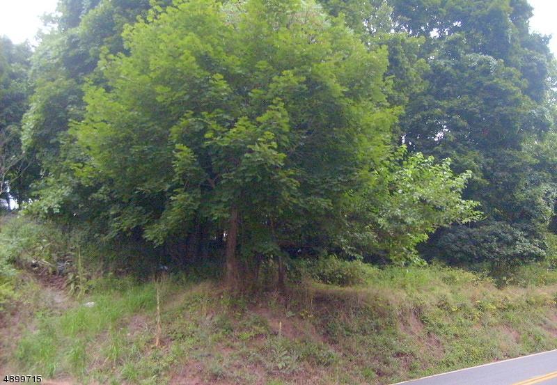 0 Milford Mount Pleasant - Photo 1
