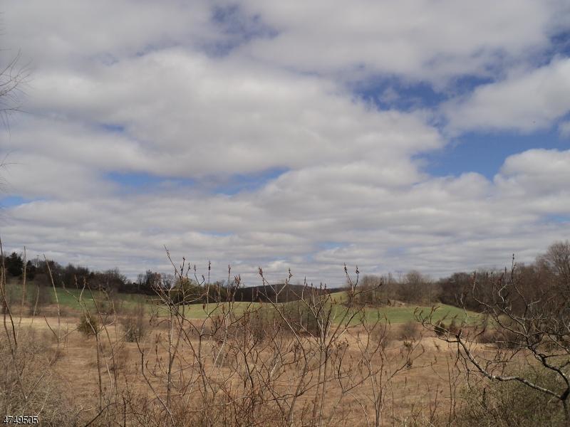 0 Lower Unionville Rd - Photo 1 0 Lower Unionville Rd - Photo 1