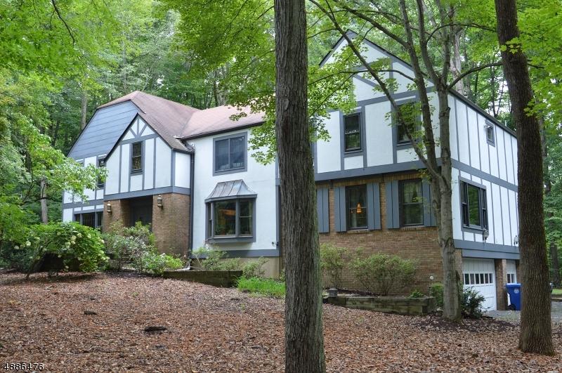 9 Blue Stone Terrace - Photo 1