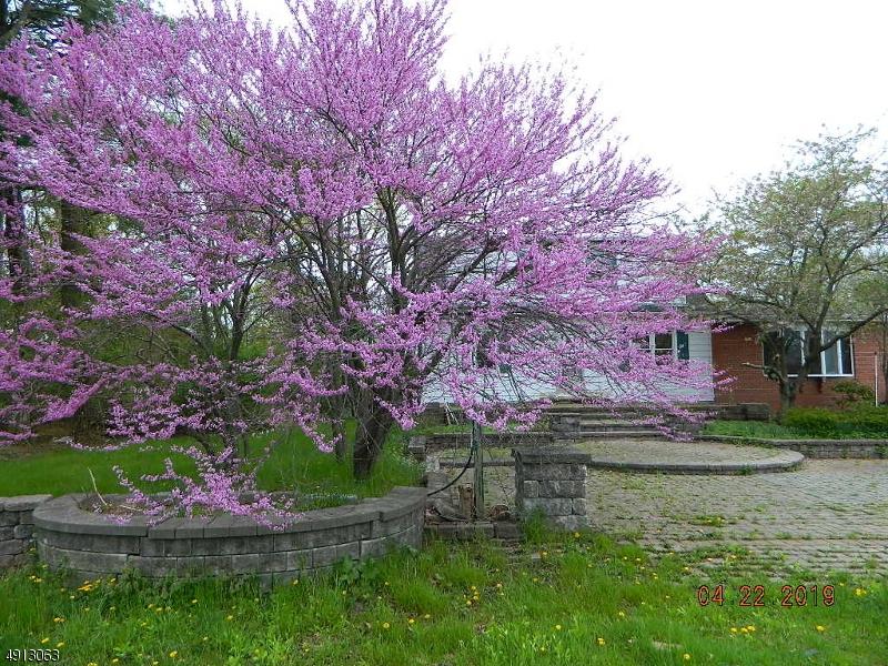 910 Route 601 - Photo 1