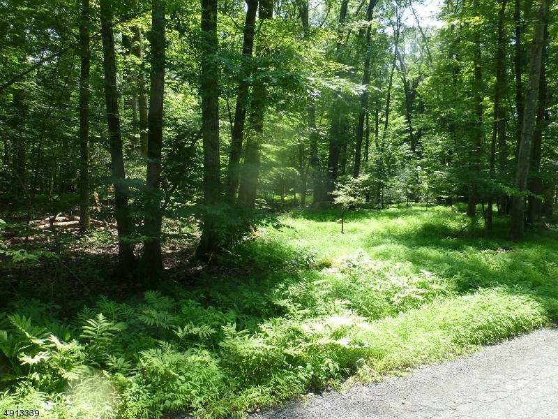 0 Mountain Rd - Photo 1