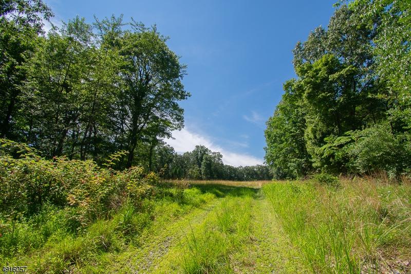 14 Carriage Hill Dr - Photo 1
