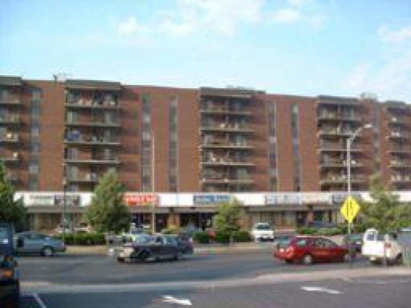 10 N Wood Ave Unit 206 - Photo 1