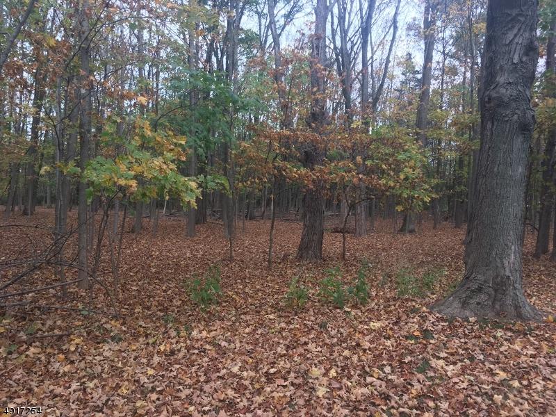 18 Sunnybranch Rd - Photo 1