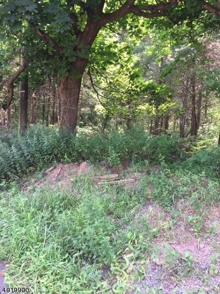 0 Ridge Road - Photo 1