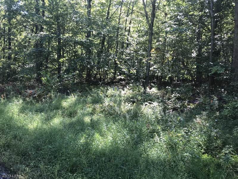 185 Mt Salem Rd - Photo 1