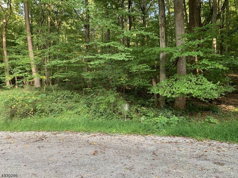 645 W Mountain Rd - Photo 1