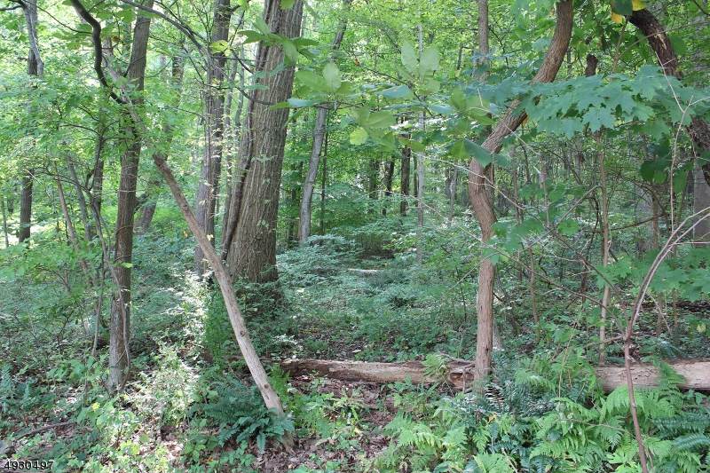 39 Russling Rd - Photo 1