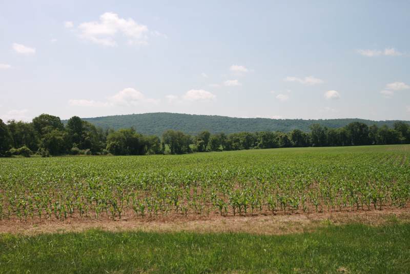 37 W Asbury-Anderson Rd - Photo 1